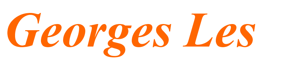 georges les logos.png