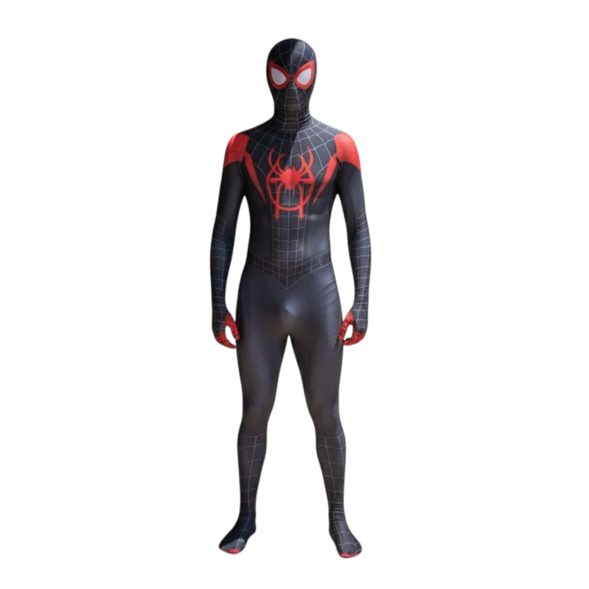 new template photoroom (41) new template photoroom (41)